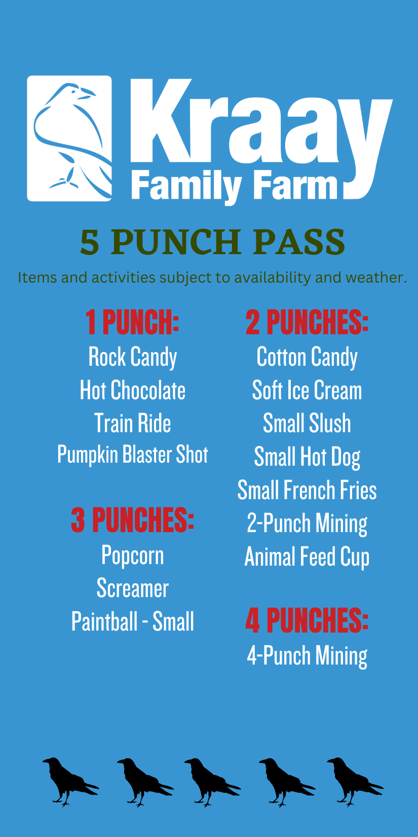 5 Punch Card